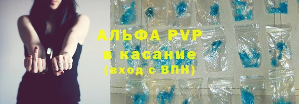 СК Алзамай